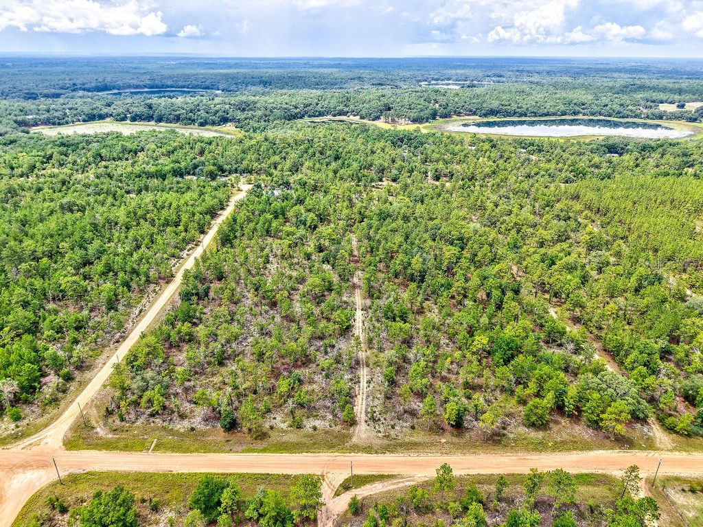 3011 Main Street Hawthorne FL 32640 TB8401995 image4