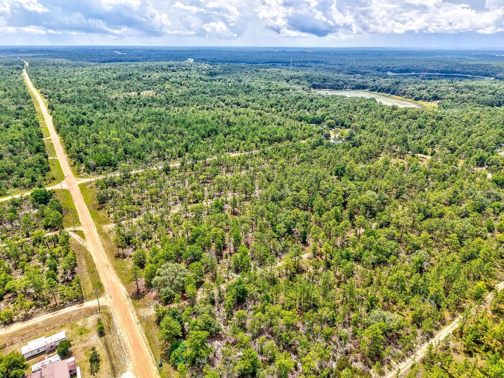 3011 Main Street Hawthorne FL 32640 TB8401995 image6