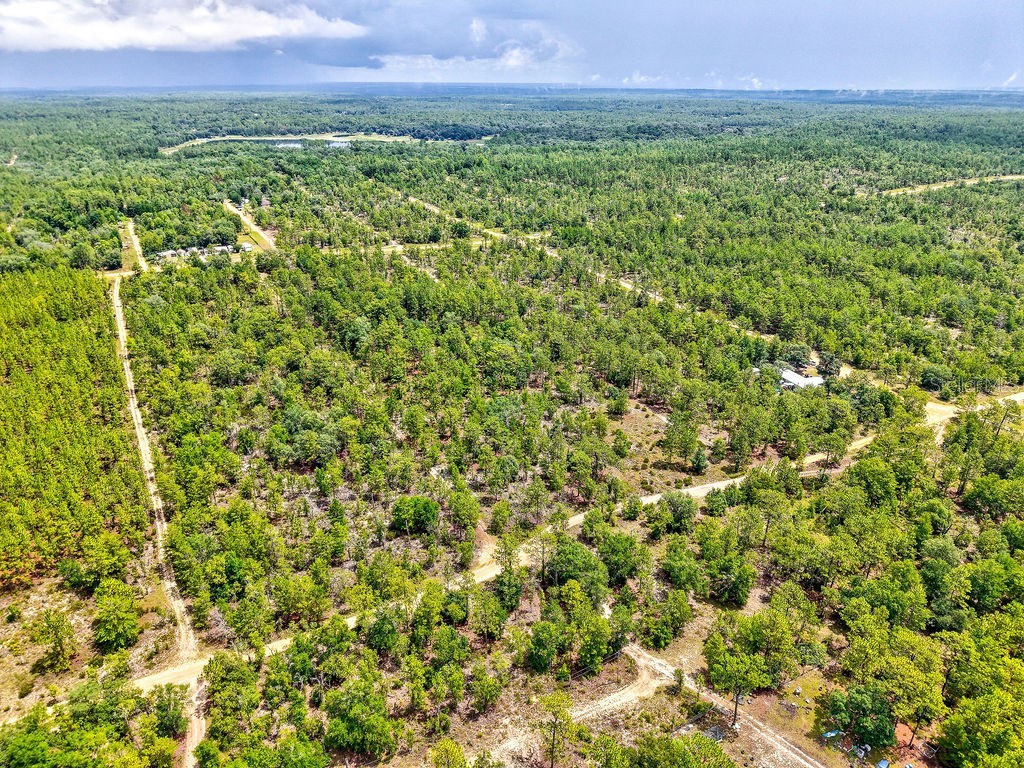 3011 Main Street Hawthorne FL 32640 TB8401995 image8