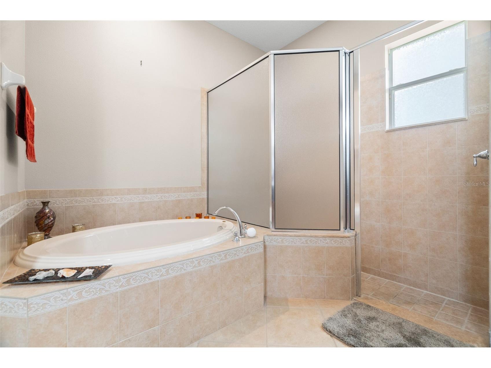 3011 Marble Crest Drive Land O Lakes FL 34638 TB8506351 image24