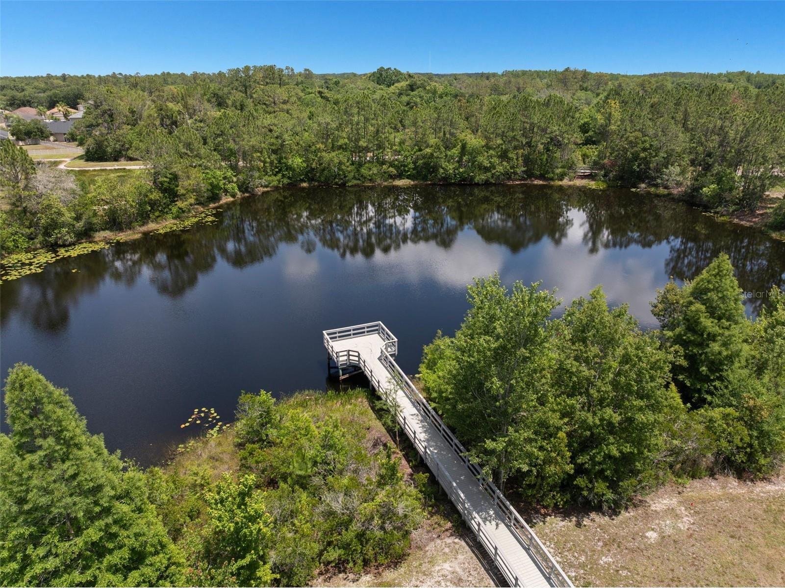 3011 Marble Crest Drive Land O Lakes FL 34638 TB8506351 image37