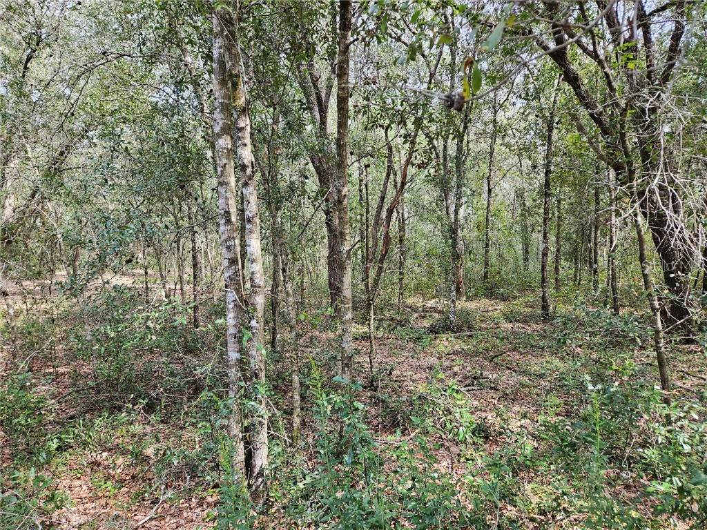 3011 Polk Street W Inverness FL 34453 OM664667 image1