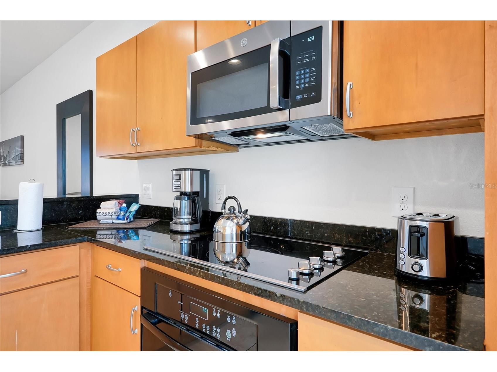 3011 Red Ginger Road Kissimmee FL 34747 O6377811 image11