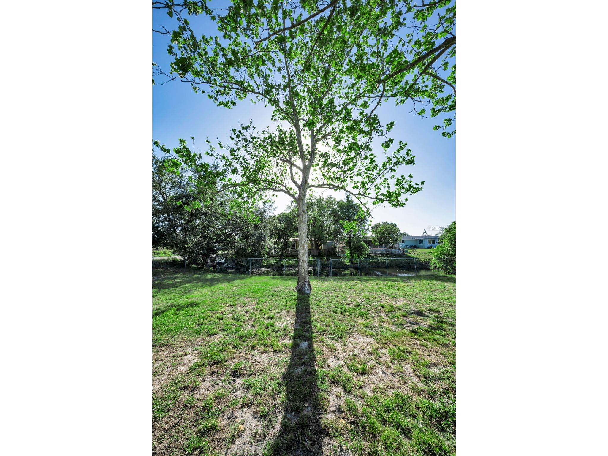 3011 Shadow Oaks Drive Holiday FL 34690 TB8501413 image20