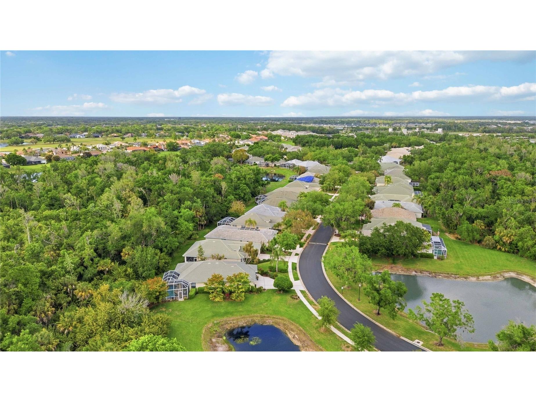 3011 Woodland Fern Drive Parrish FL 34219 A4688596 image34