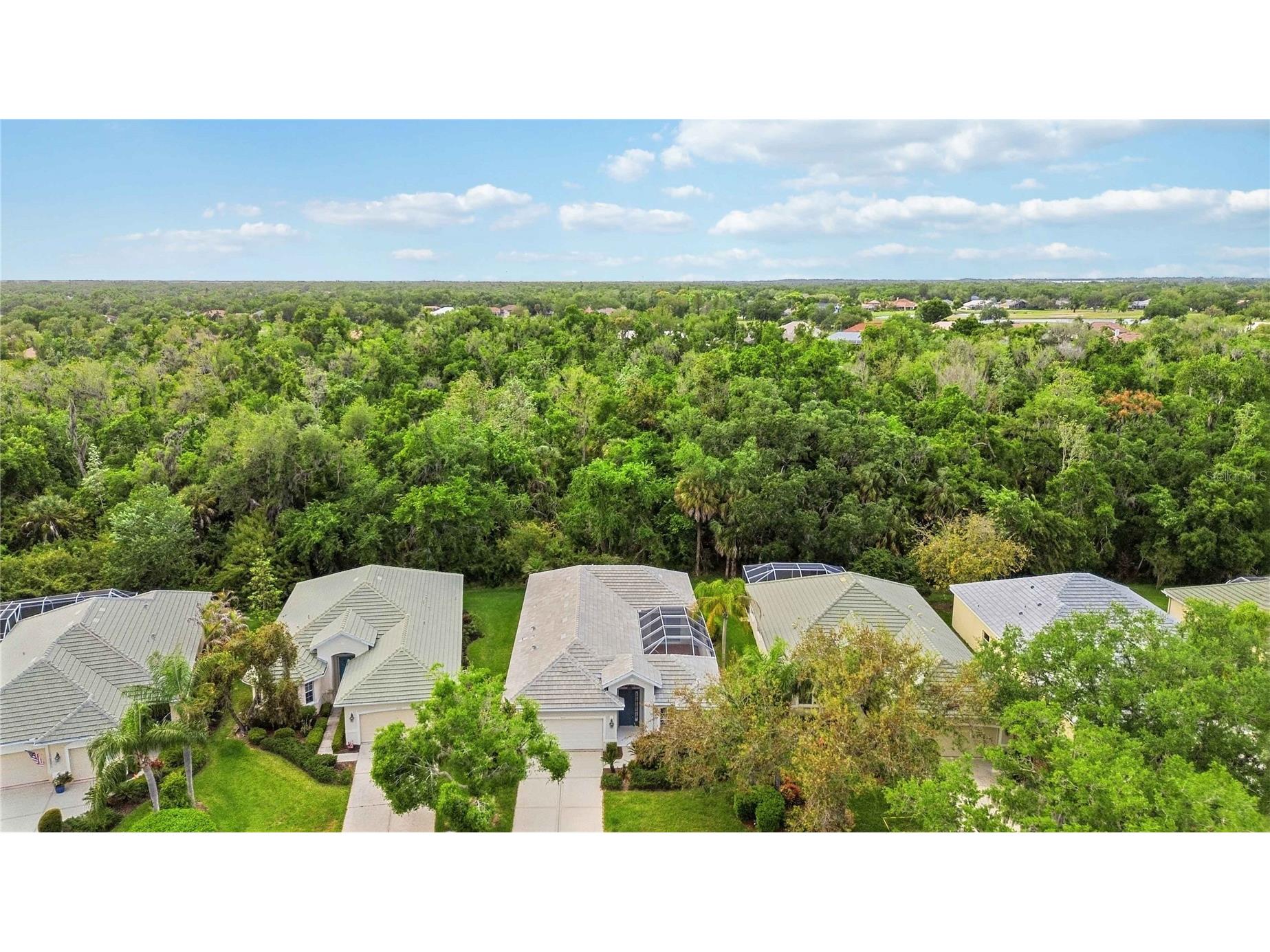 3011 Woodland Fern Drive Parrish FL 34219 A4688596 image44