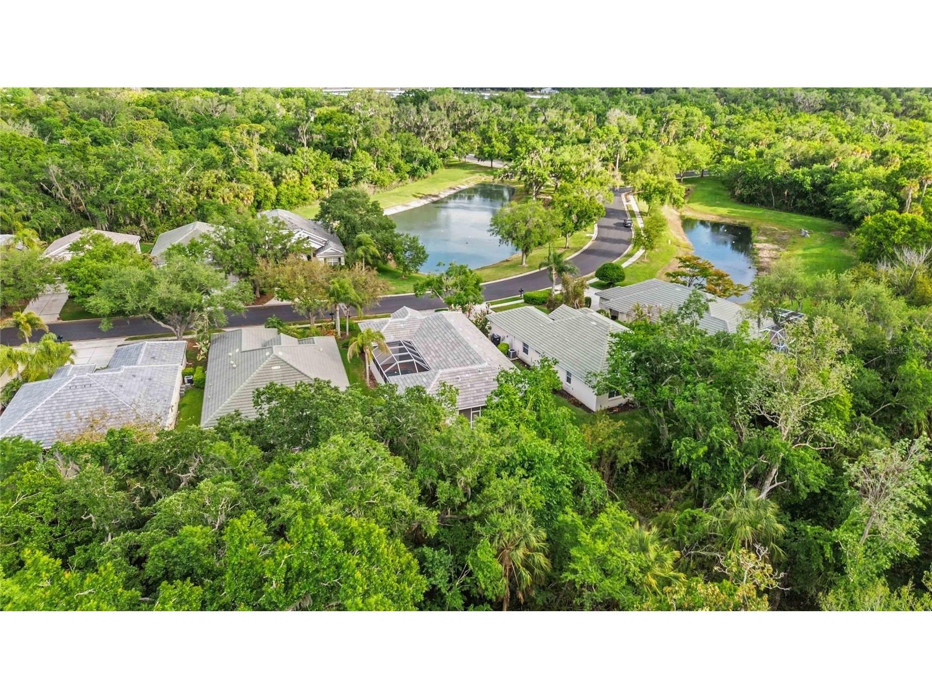 3011 Woodland Fern Drive Parrish FL 34219 A4688596 image48