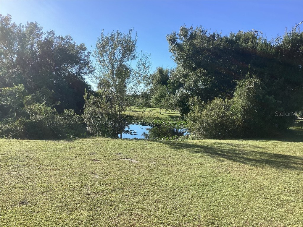 30110 Loblolly Pine Drive Punta Gorda FL 33982 C7516514 image68