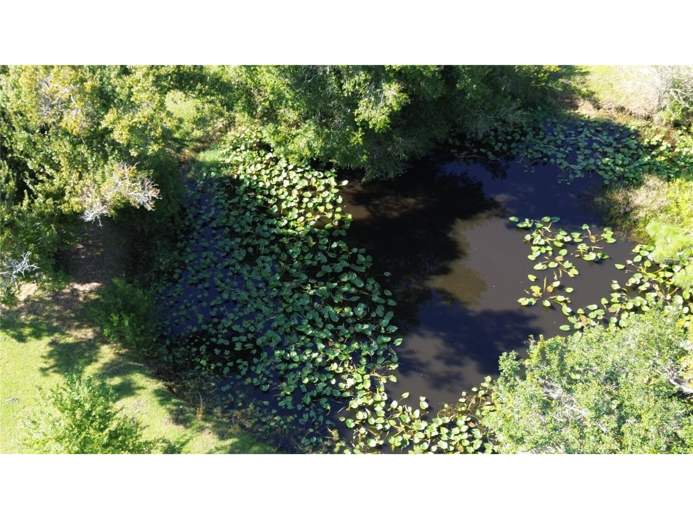 30110 Loblolly Pine Drive Punta Gorda FL 33982 C7516514 image88