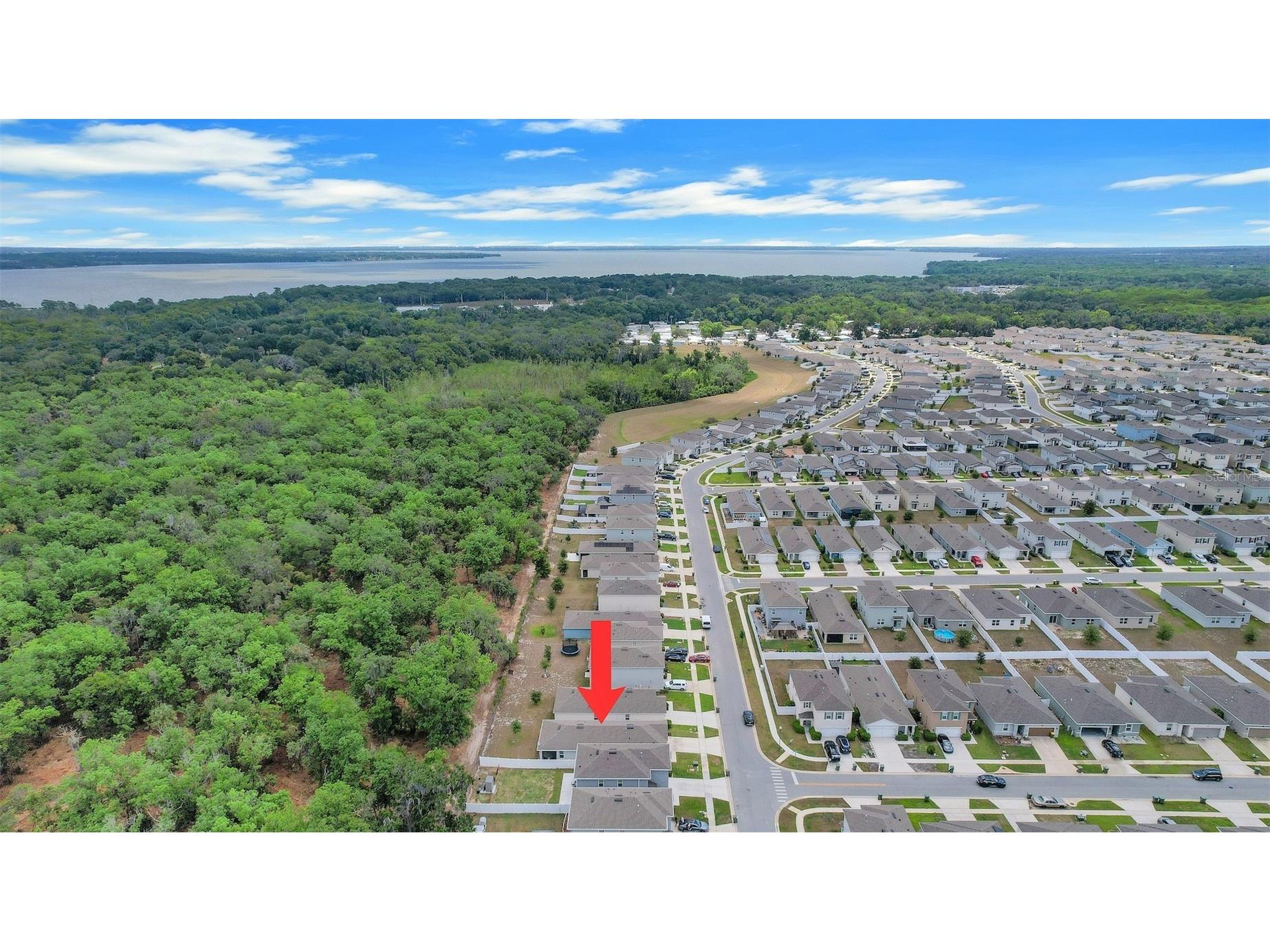 30112 Armenia Road Leesburg FL 34748 O6403796 image6