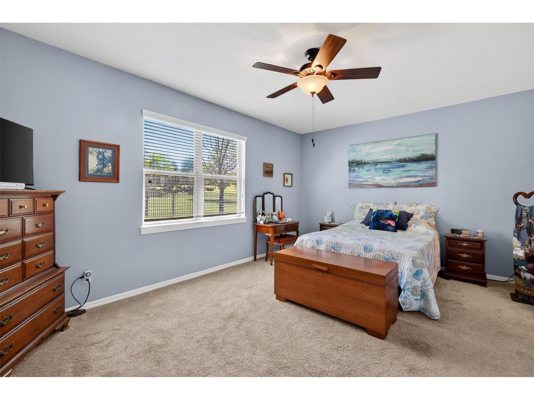 30112 Kladruby Point Mount Dora FL 32757 G5109833 image23