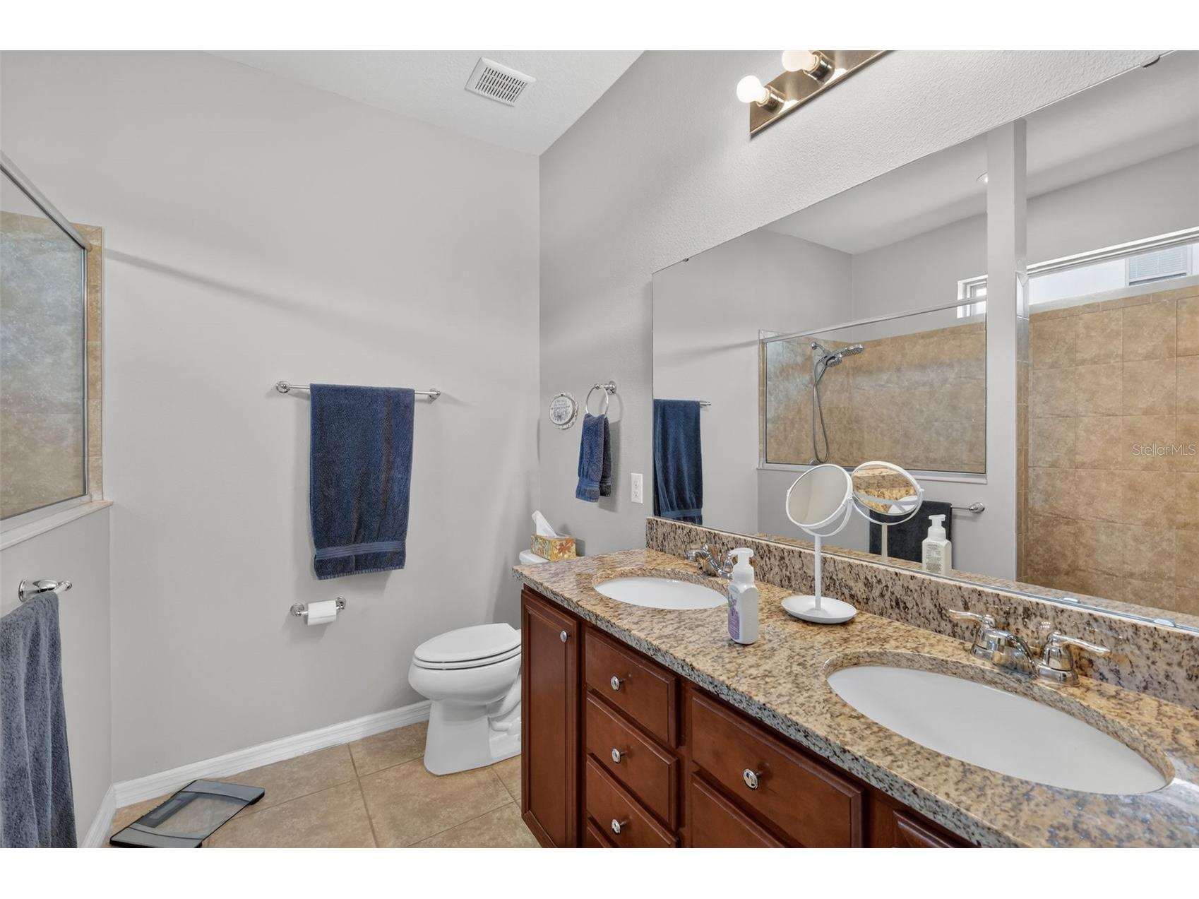 30112 Kladruby Point Mount Dora FL 32757 G5109833 image25