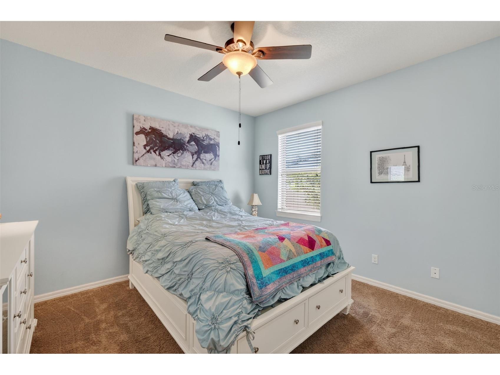 30112 Kladruby Point Mount Dora FL 32757 G5109833 image27