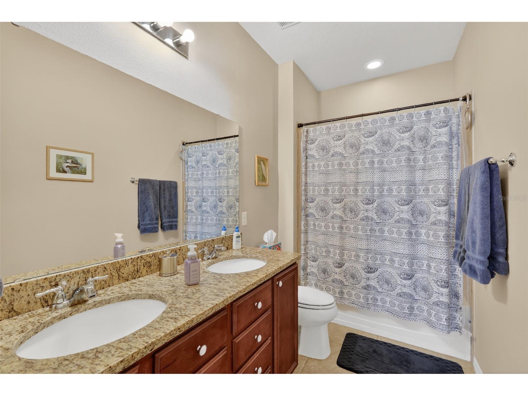 30112 Kladruby Point Mount Dora FL 32757 G5109833 image29