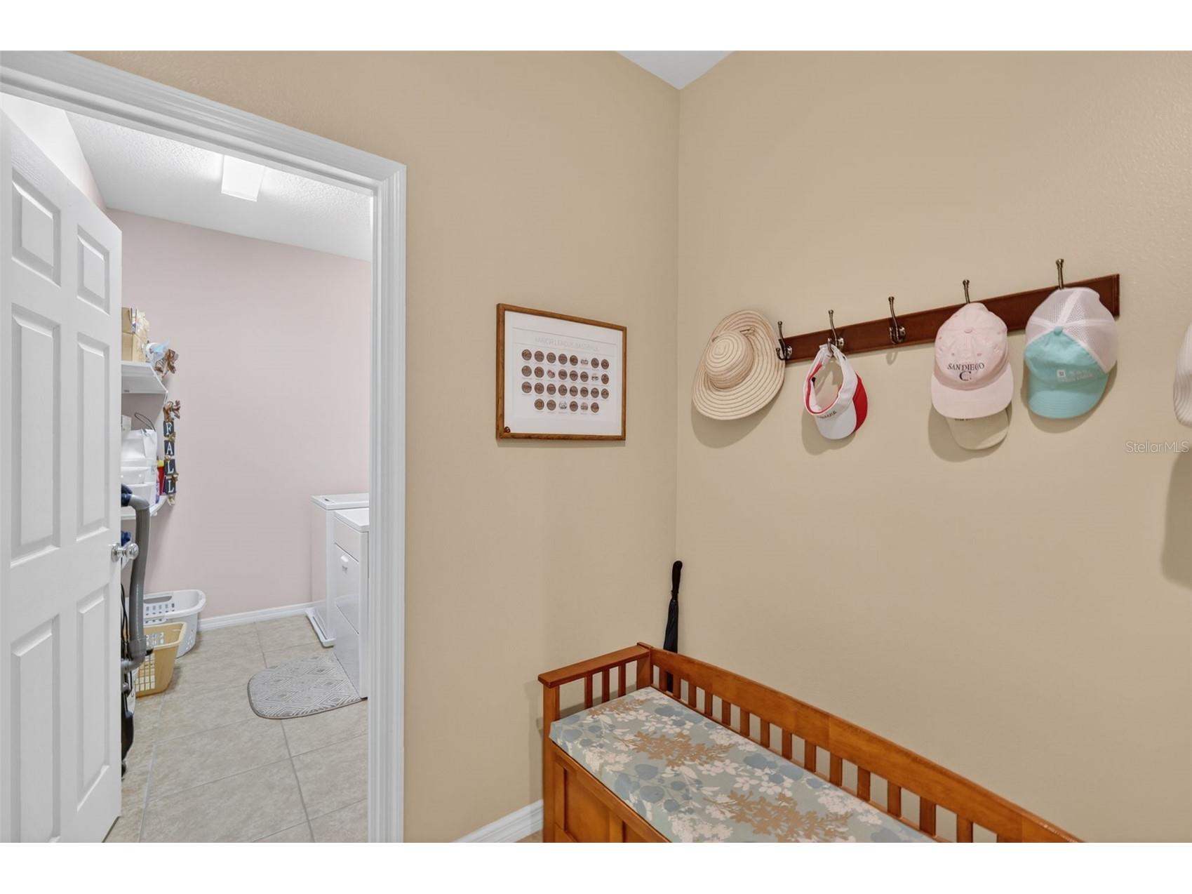 30112 Kladruby Point Mount Dora FL 32757 G5109833 image9