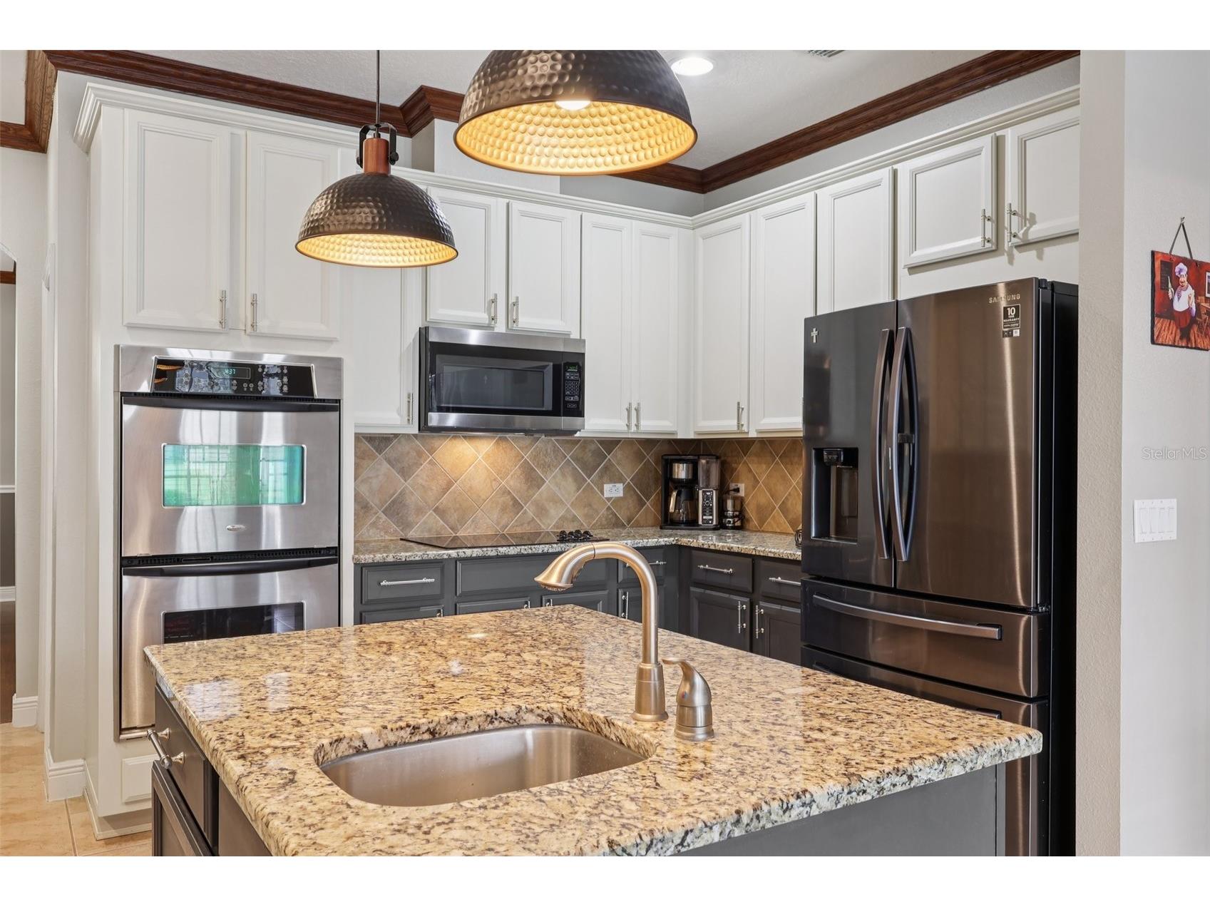 30113 Jutland Court Mount Dora FL 32757 G5101223 image15