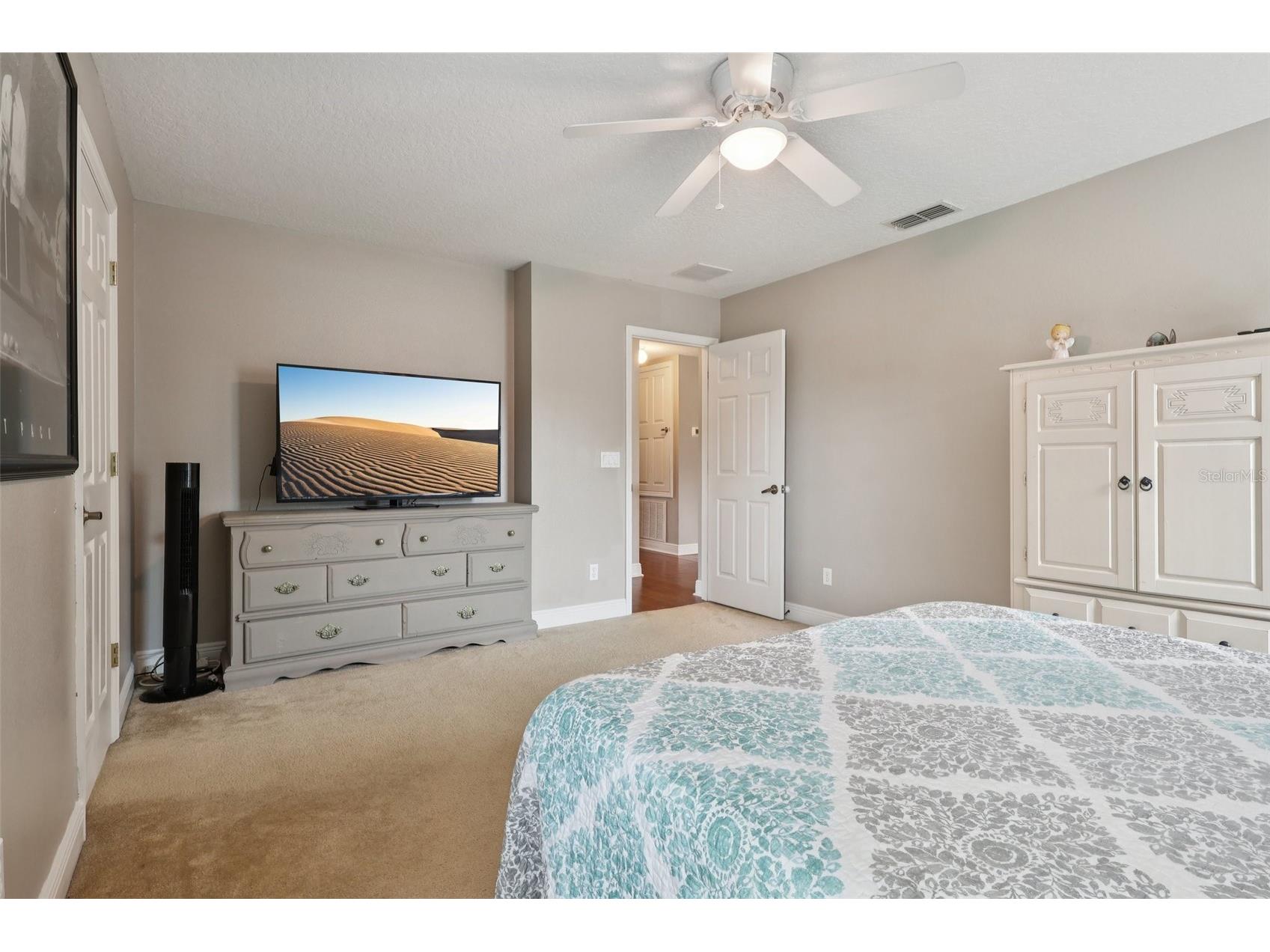 30113 Jutland Court Mount Dora FL 32757 G5101223 image25