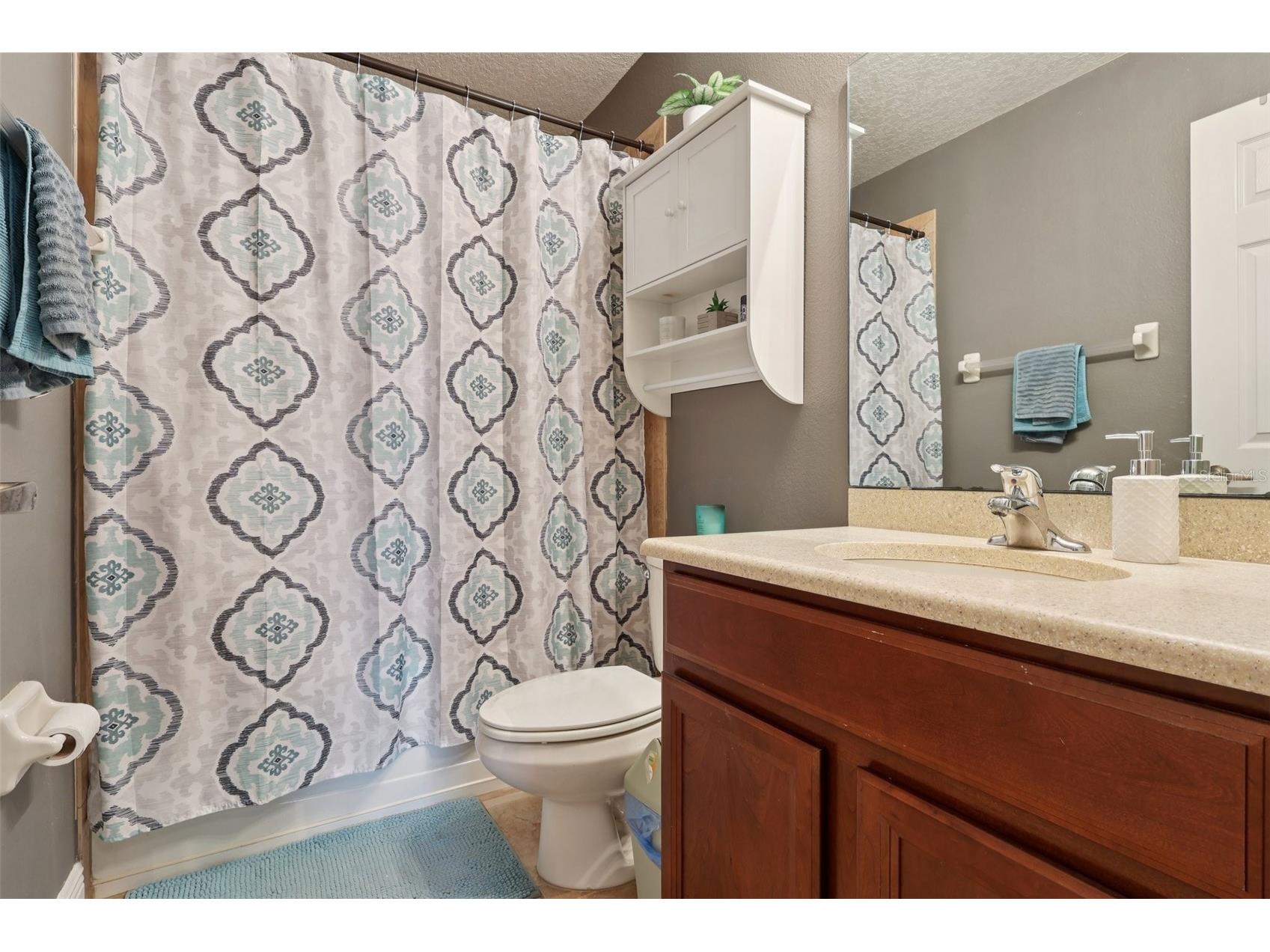 30113 Jutland Court Mount Dora FL 32757 G5101223 image28