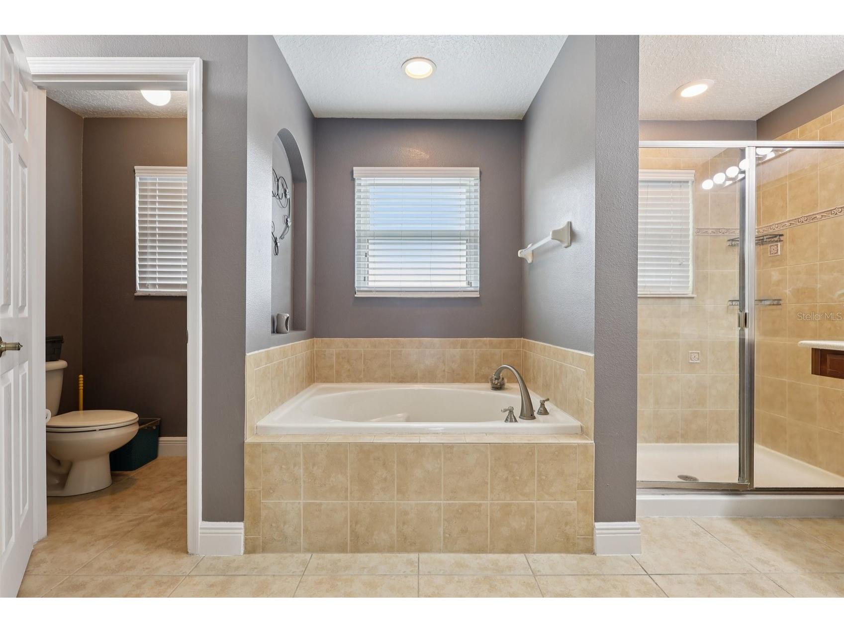 30113 Jutland Court Mount Dora FL 32757 G5101223 image32