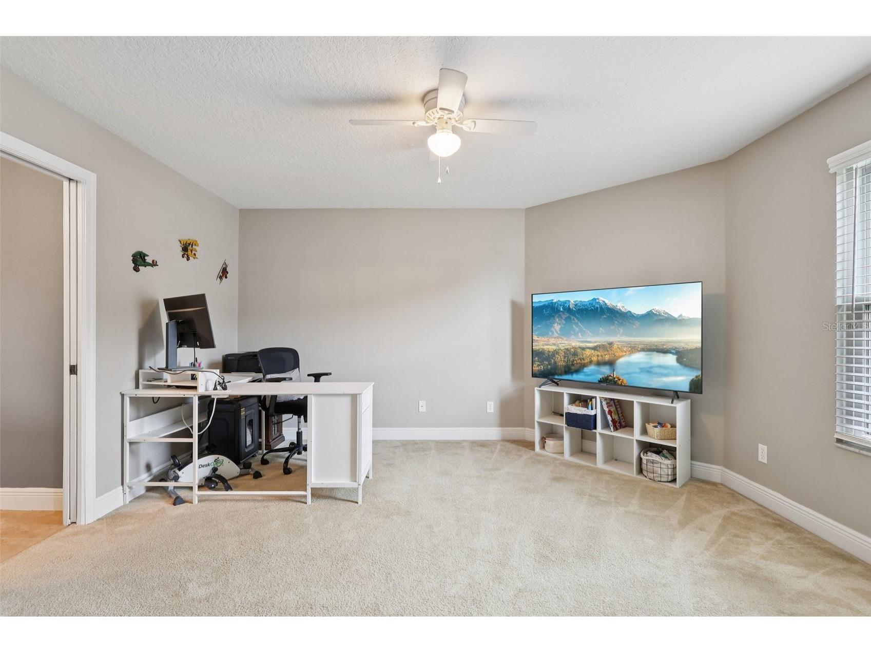 30113 Jutland Court Mount Dora FL 32757 G5101223 image38