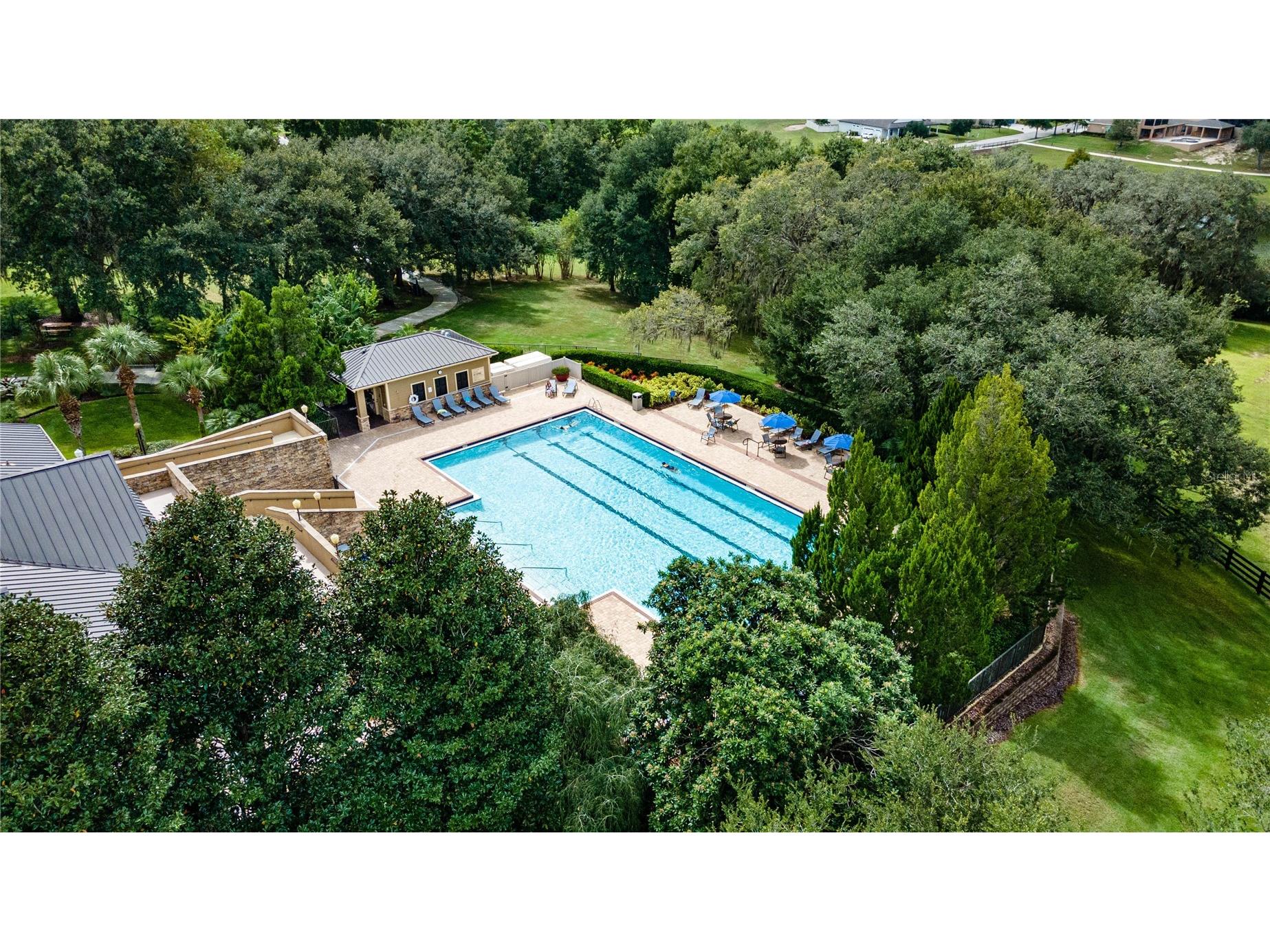 30113 Jutland Court Mount Dora FL 32757 G5101223 image63