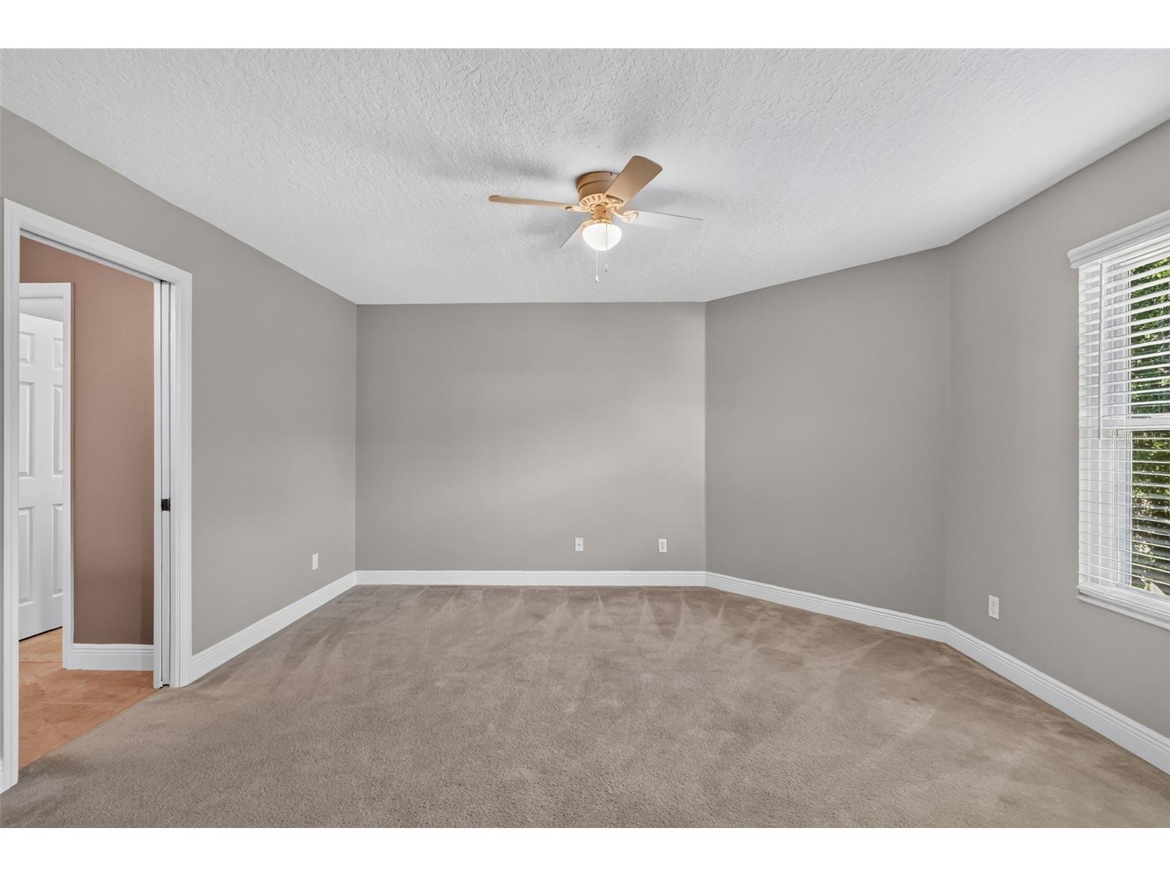 30113 Jutland Court Mount Dora FL 32757 G5114900 image39
