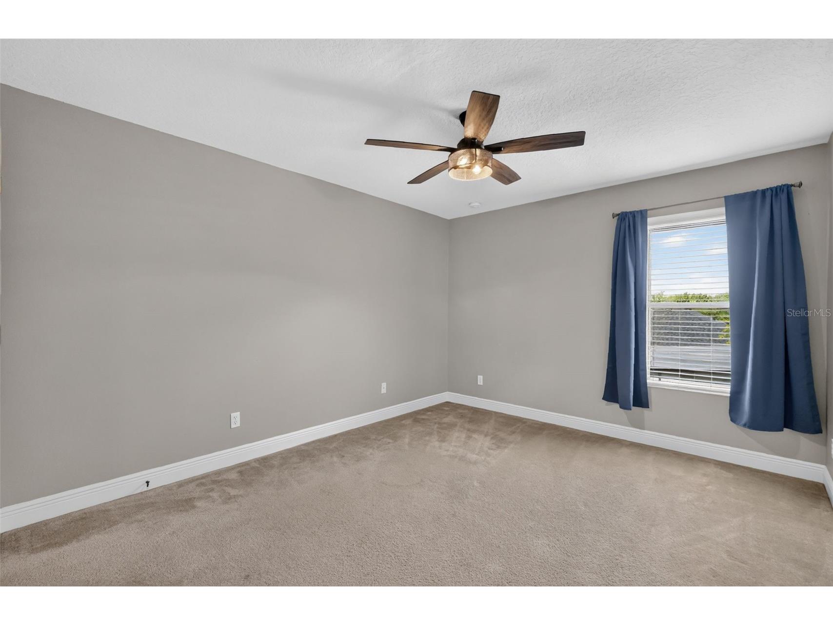 30113 Jutland Court Mount Dora FL 32757 G5114900 image46