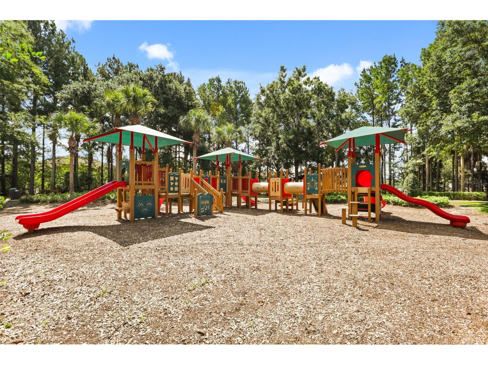 30113 Jutland Court Mount Dora FL 32757 G5114900 image57