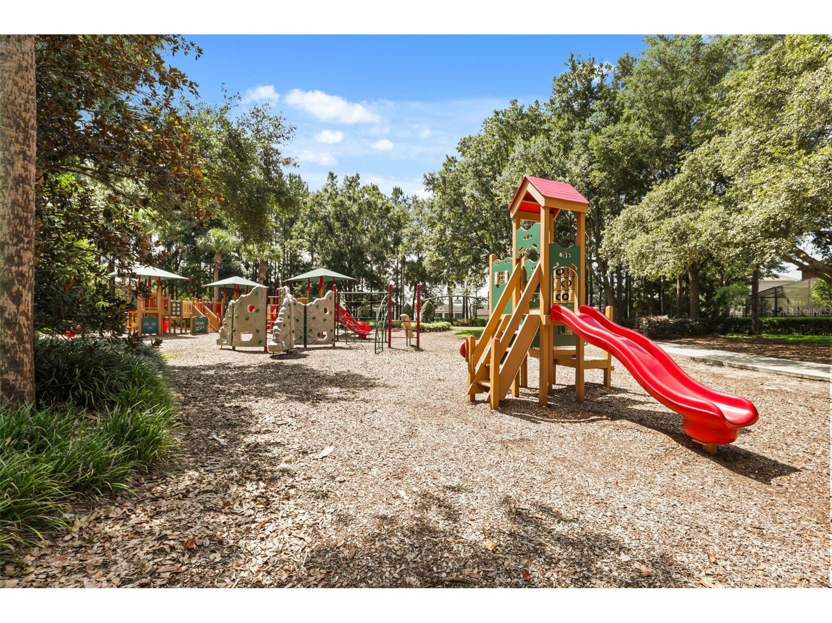 30113 Jutland Court Mount Dora FL 32757 G5114900 image58