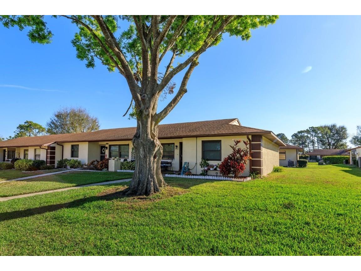 30113 Robin Lane Tavares FL 32778 O6283725 image1