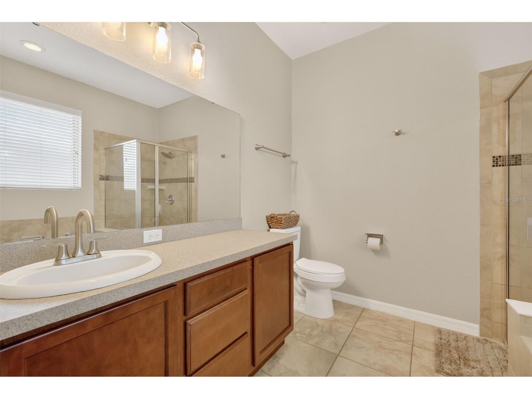 30115 Cheval Street Mount Dora FL 32757 O6412347 image18