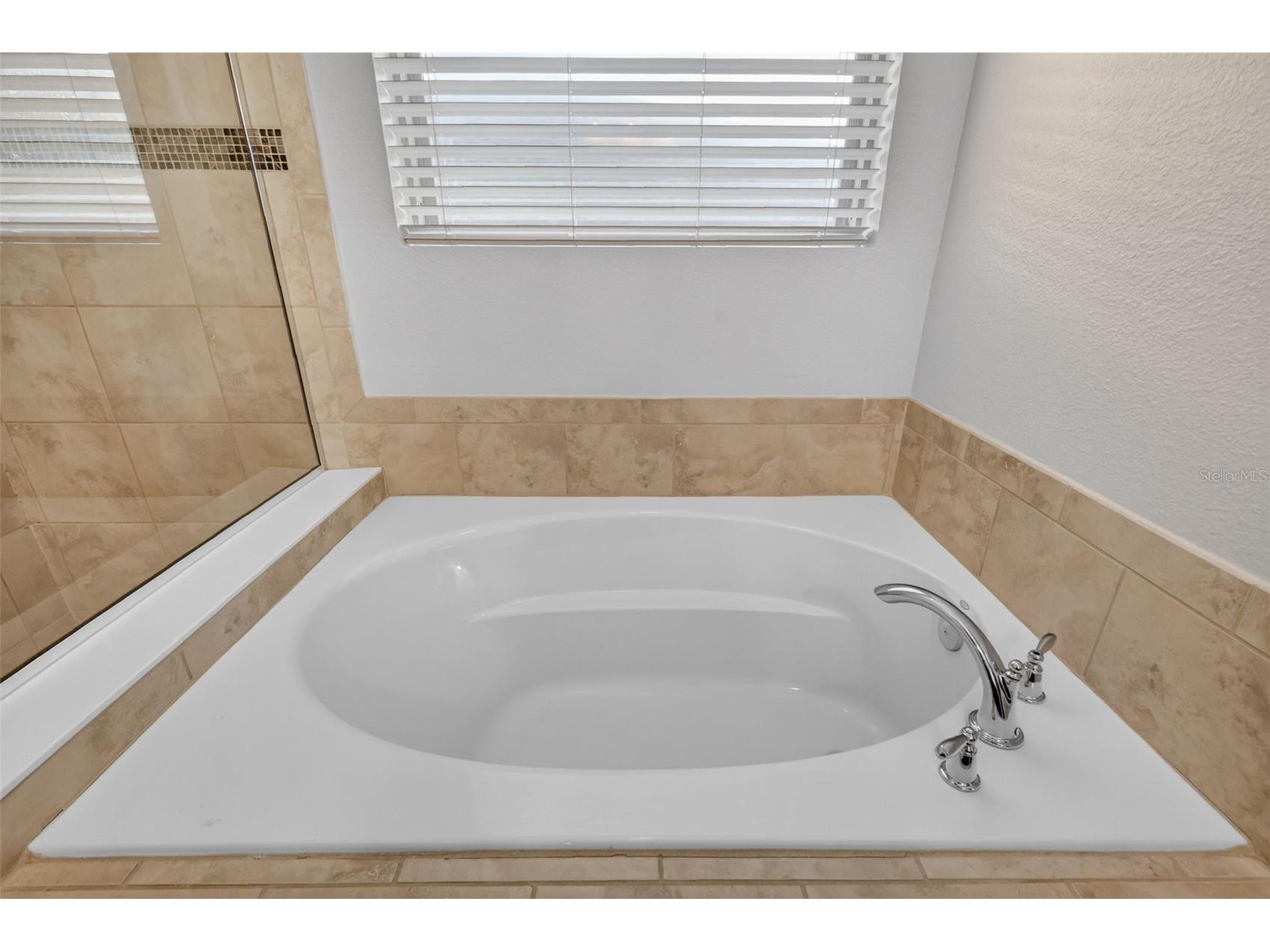 30115 Cheval Street Mount Dora FL 32757 O6412347 image20