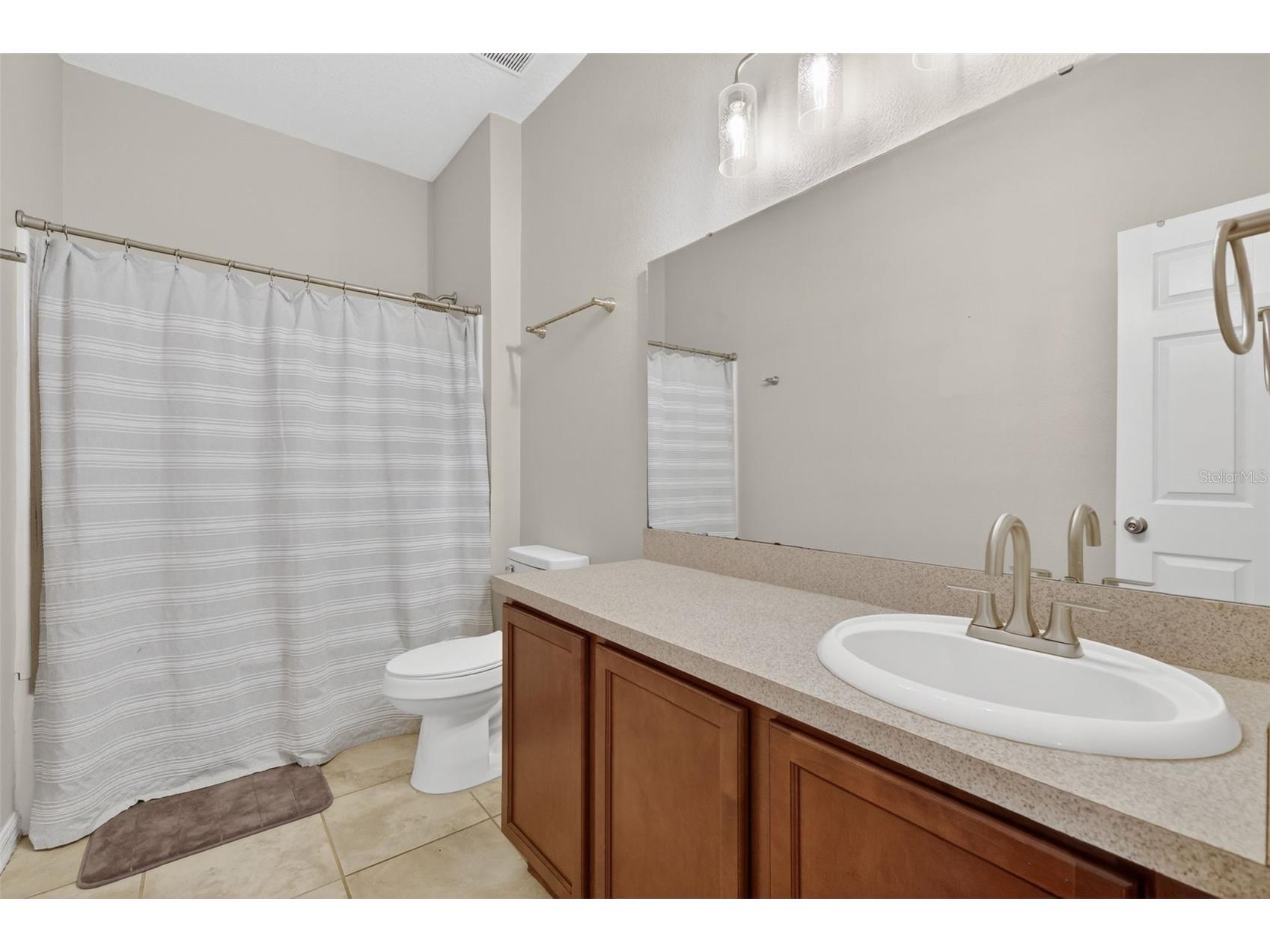 30115 Cheval Street Mount Dora FL 32757 O6412347 image25