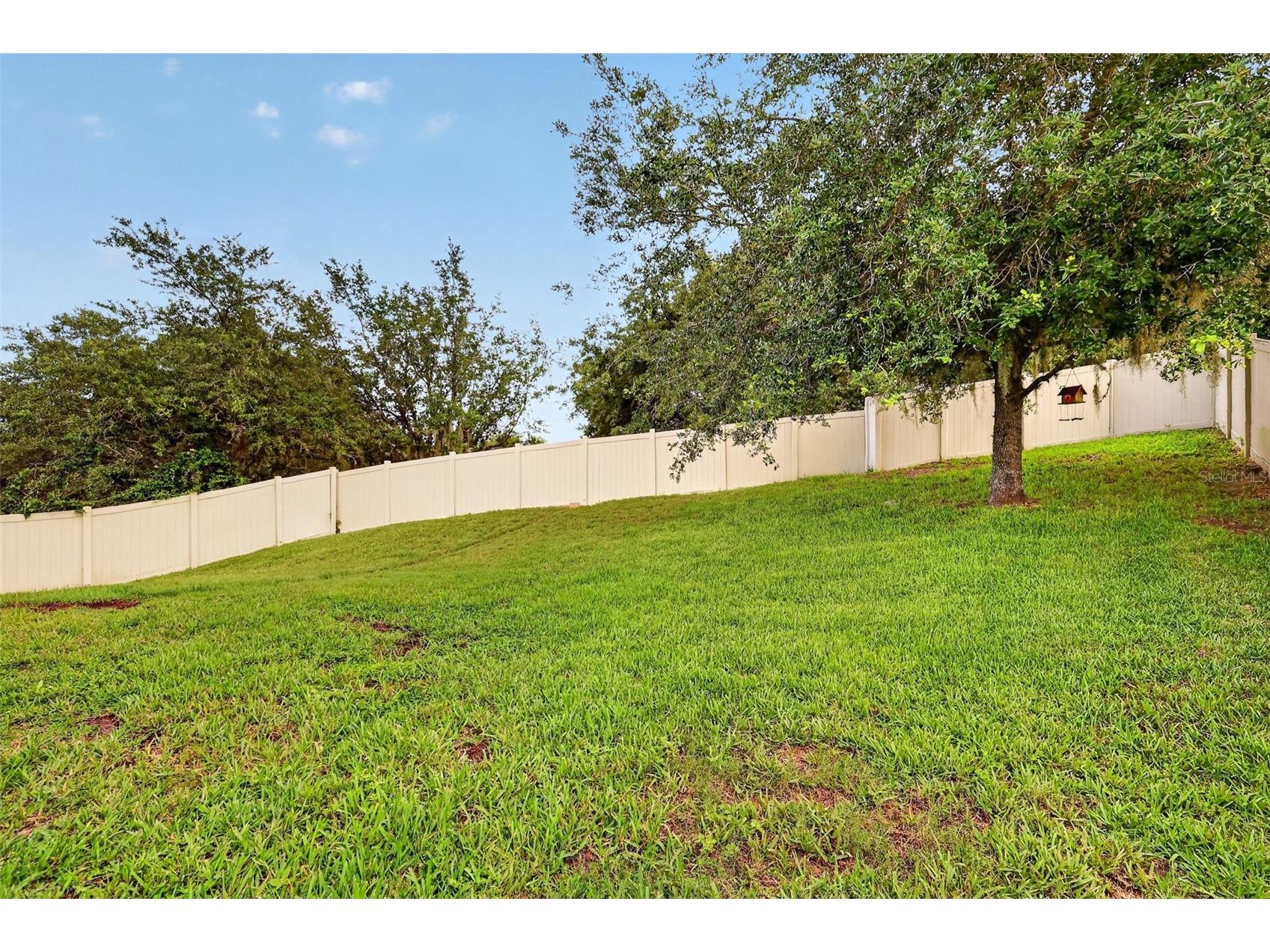 30115 Cheval Street Mount Dora FL 32757 O6412347 image29