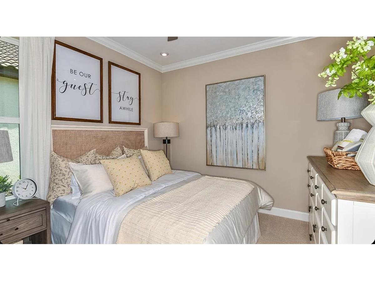 30117 Imperati Boulevard Wesley Chapel FL 33543 TB8508104 image10