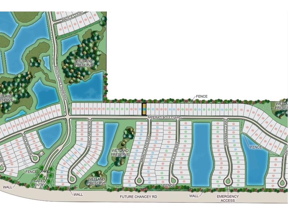 30117 Imperati Boulevard Wesley Chapel FL 33543 TB8508104 image11