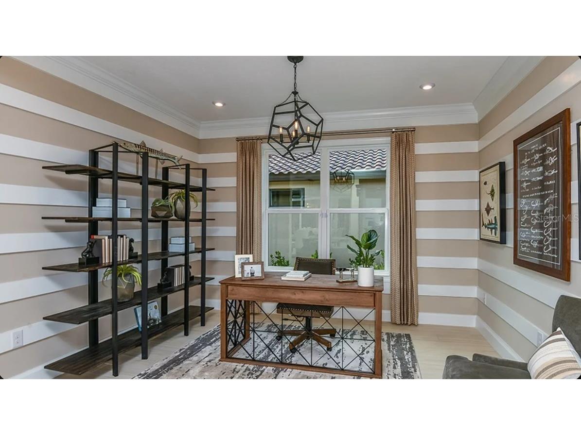 30117 Imperati Boulevard Wesley Chapel FL 33543 TB8508104 image8