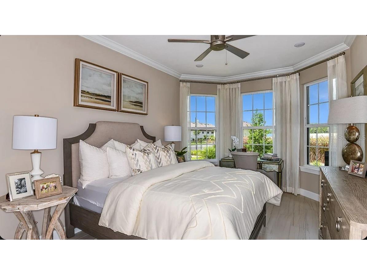 30117 Imperati Boulevard Wesley Chapel FL 33543 TB8508104 image9