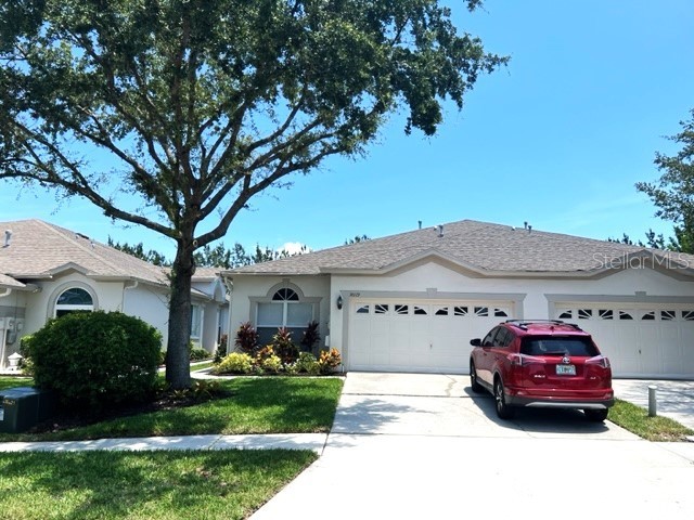 30119 Emmetts Court Wesley Chapel FL 33543 T3456432 image1