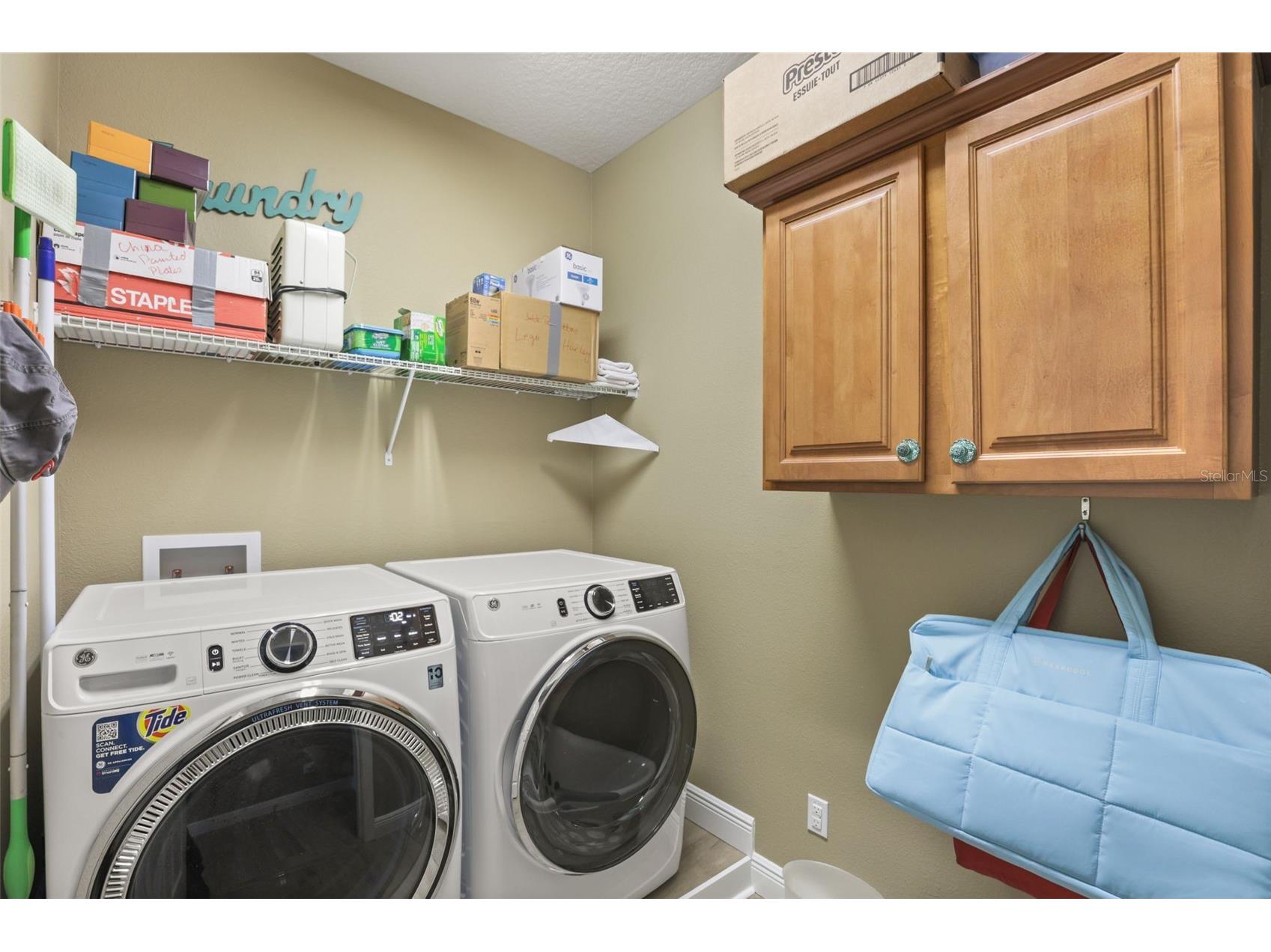 30119 Tokara Terrace Mount Dora FL 32757 G5114877 image36
