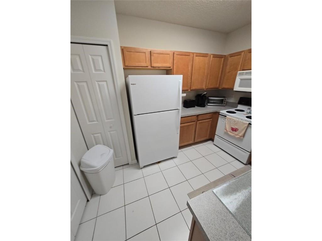 30119 Wellesley Way Wesley Chapel FL 33543 TB8449248 image24