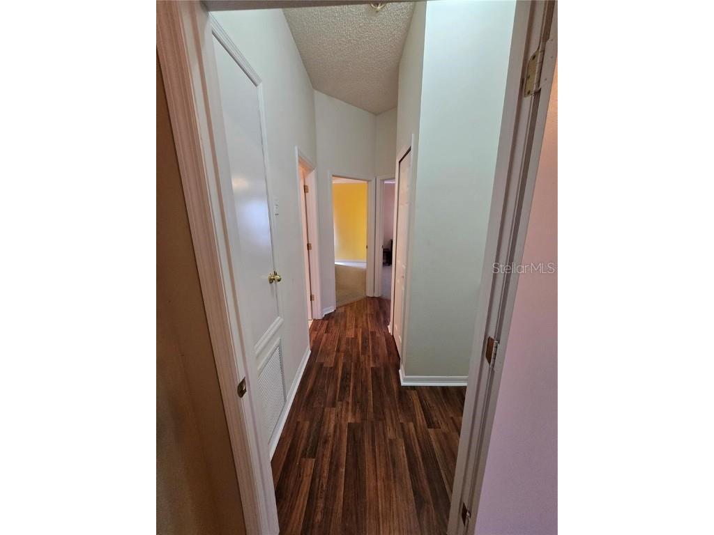 30119 Wellesley Way Wesley Chapel FL 33543 TB8449248 image28