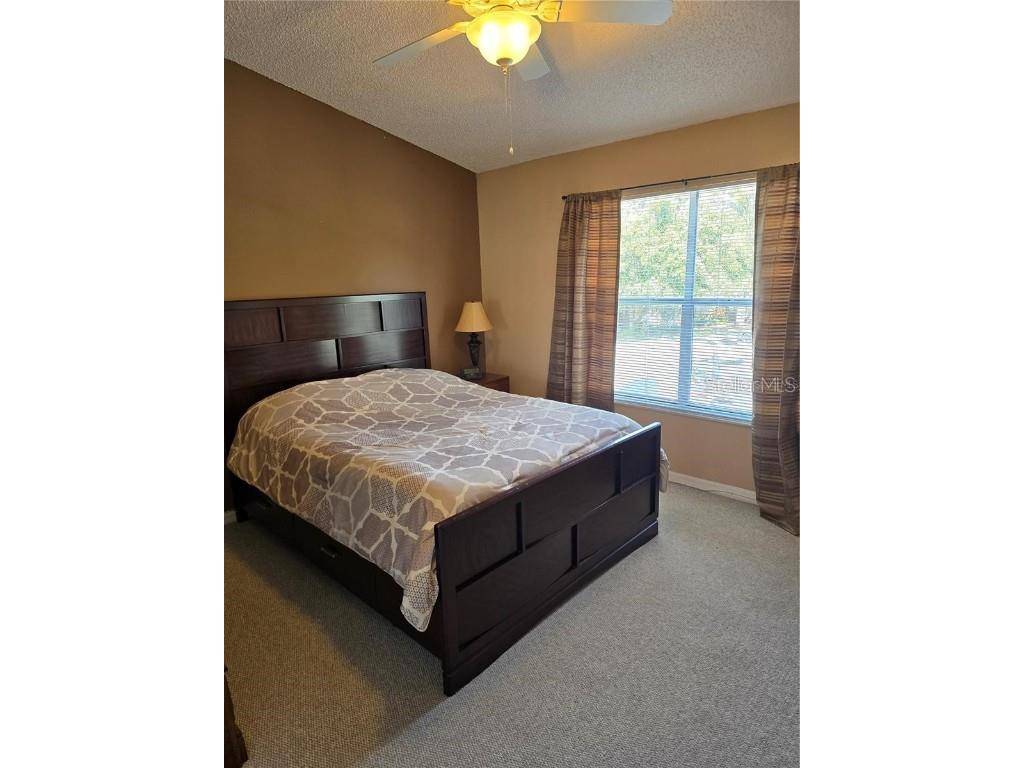 30119 Wellesley Way Wesley Chapel FL 33543 TB8449248 image29