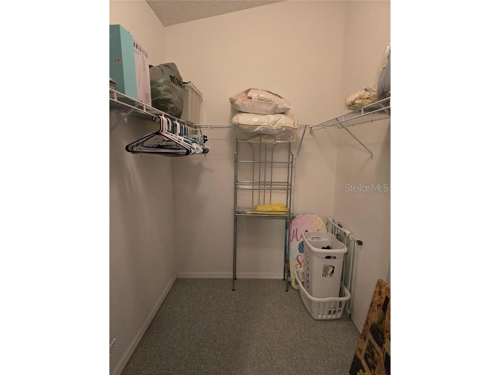 30119 Wellesley Way Wesley Chapel FL 33543 TB8449248 image33