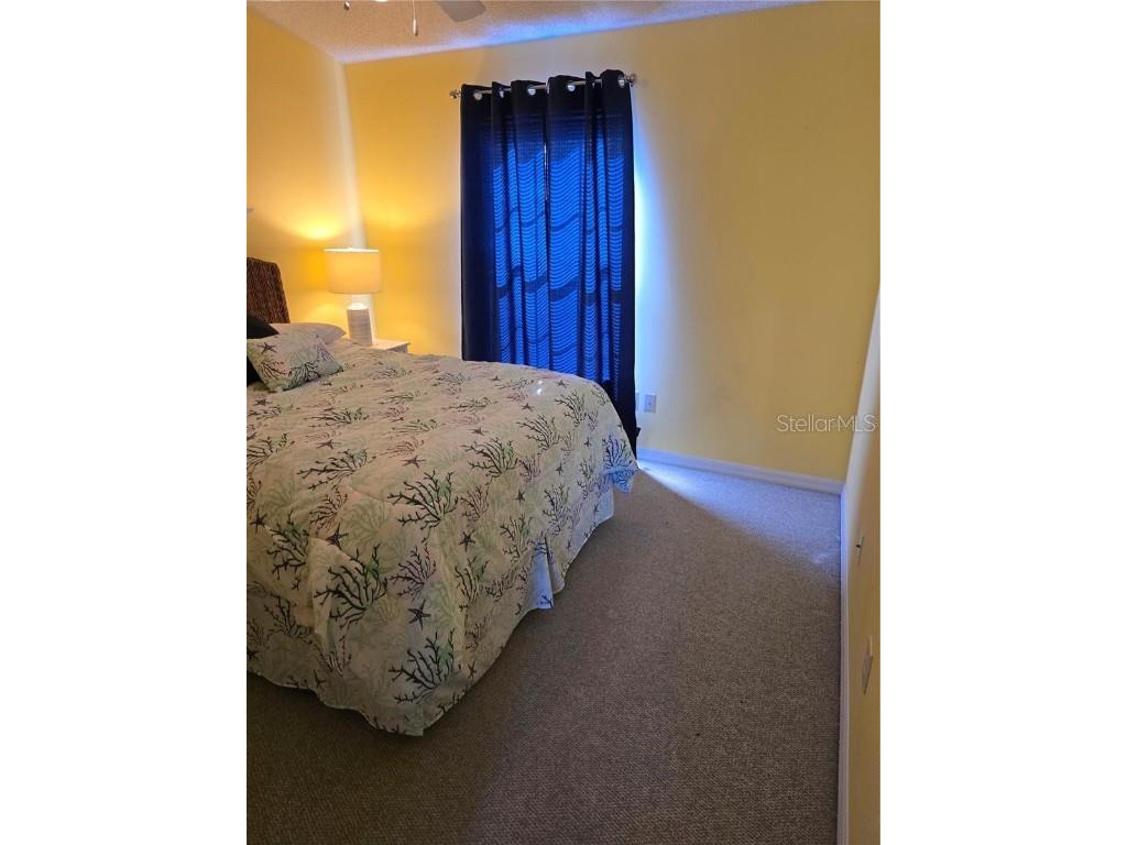 30119 Wellesley Way Wesley Chapel FL 33543 TB8449248 image34