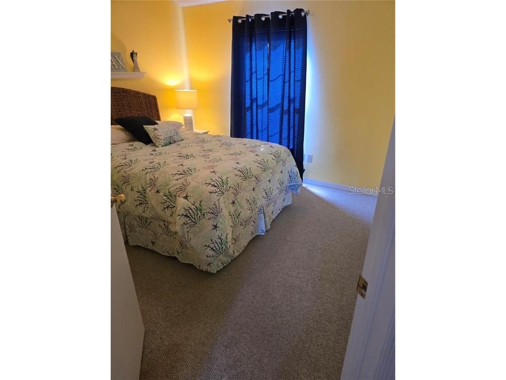 30119 Wellesley Way Wesley Chapel FL 33543 TB8449248 image35