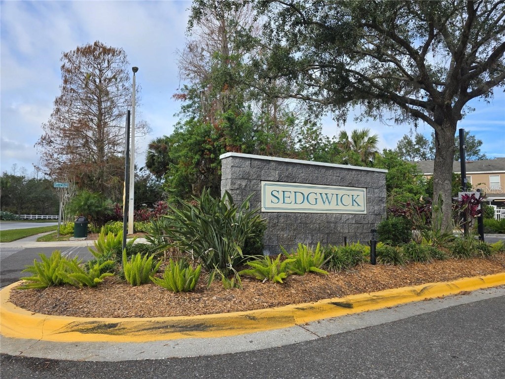 30119 Wellesley Way Wesley Chapel FL 33543 TB8449248 image56