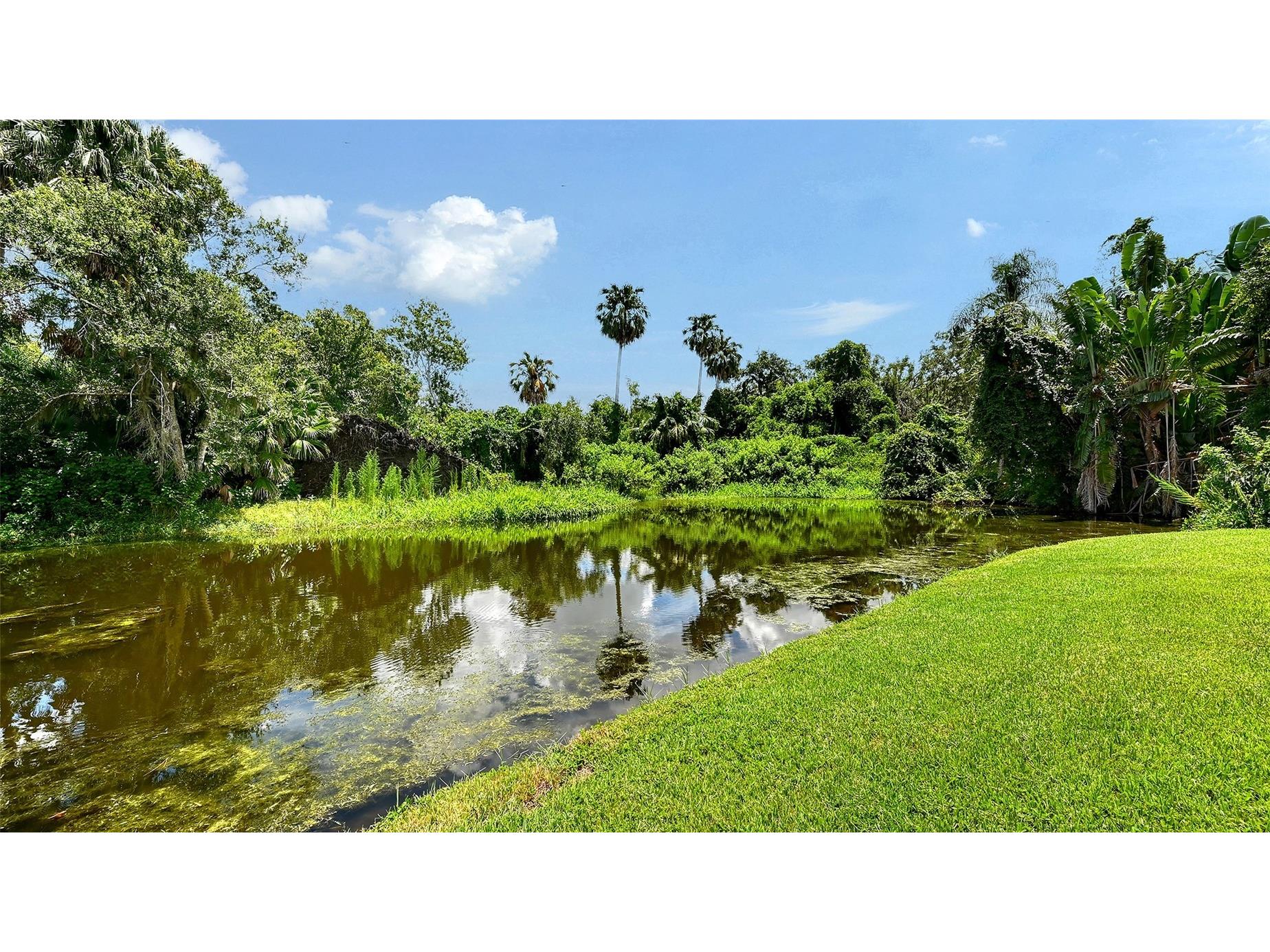 3012 Desoto Road Sarasota FL 34234 - POND LOCATED ON THE PROPERTY A4678237 image58