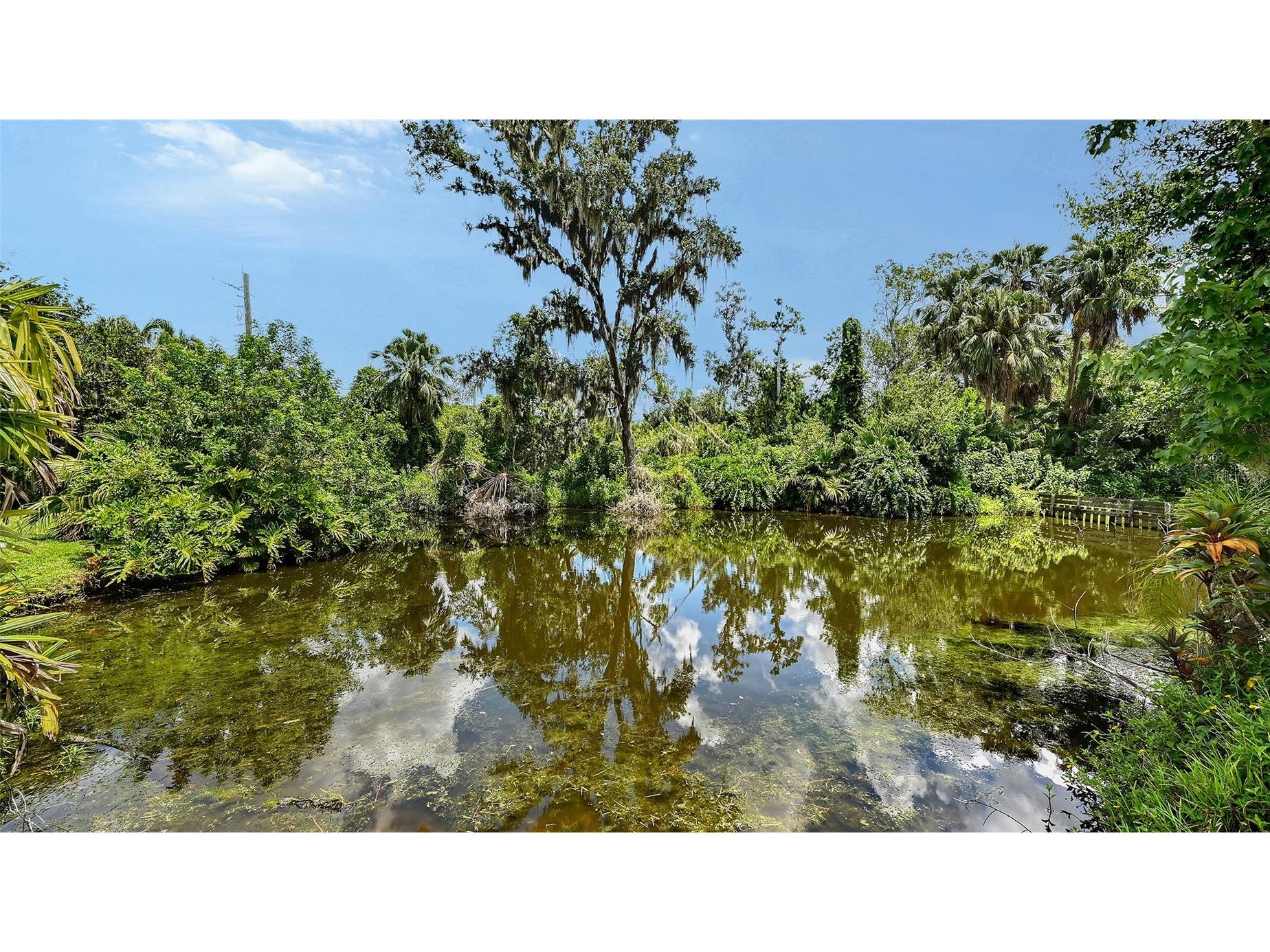 3012 Desoto Road Sarasota FL 34234 - POND LOCATED ON THE PROPERTY A4678237 image59