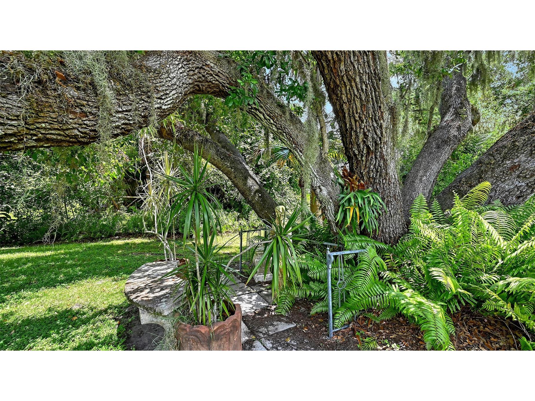 3012 Desoto Road Sarasota FL 34234 - POND LOCATED ON THE PROPERTY A4678237 image71